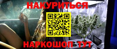 шишки Гусев