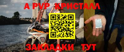 бошки Кингисепп