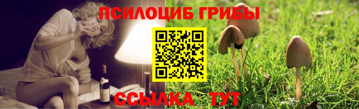 Галлюциногенные грибы ЛСД Евпатория